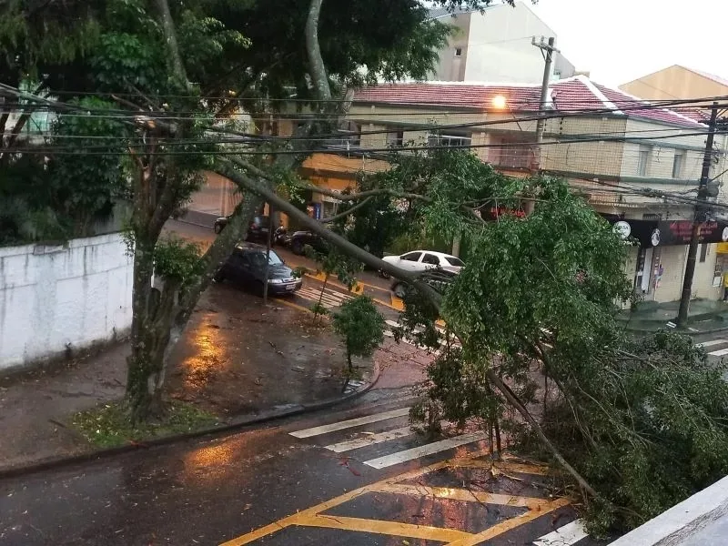 Santo Suco Hambúrgueria e Hotdogueria, Delivery em Caraguatatuba